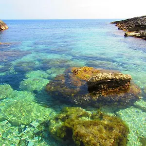 https://il-nido.sicilyhotelsitaly.net